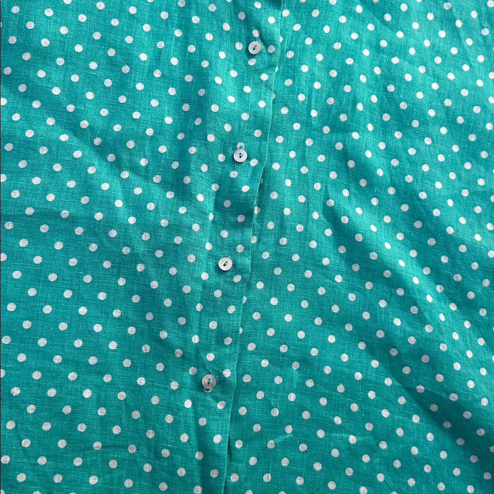 RACHEL Rachel Roy Turquoise Polka Dot Linen Shirt - Picture 4 of 8